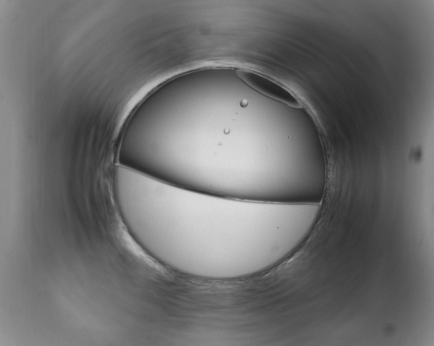 X0000111231100200907021017