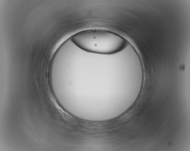 X0000111231101200907021017