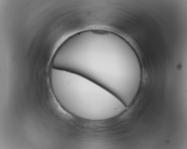 X0000111231102200907021017