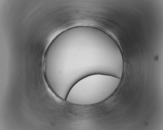 X0000111231103200907021017