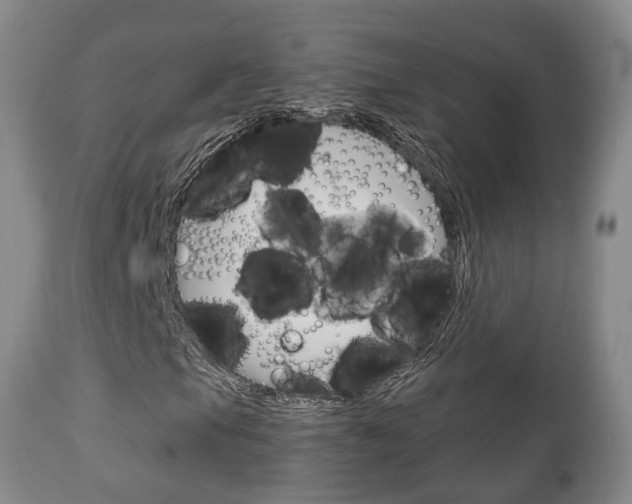 X0000111231105200907021016