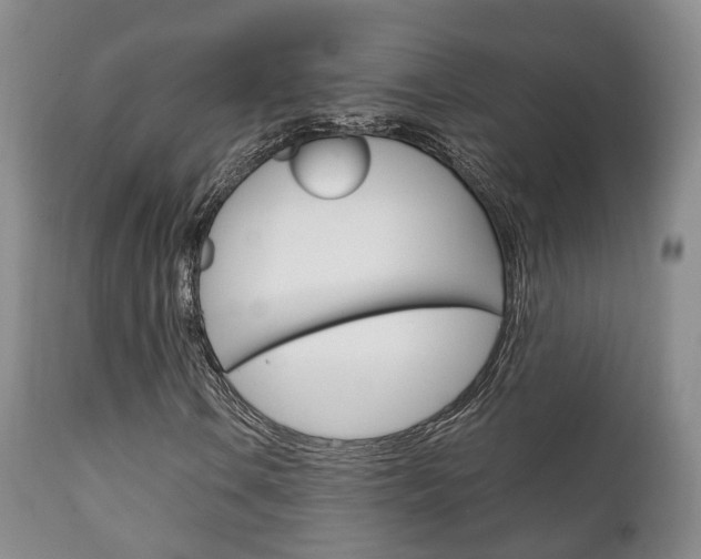 X0000111231106200907021016