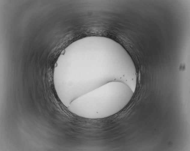 X0000111231107200907021016