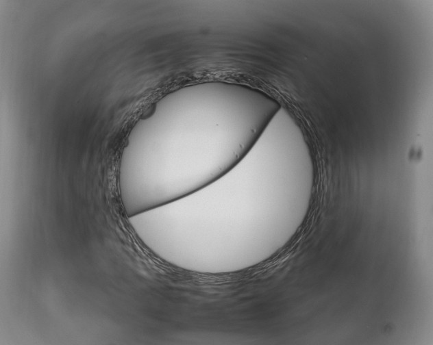 X0000111231109200907021016