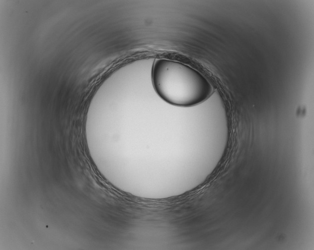 X0000111231110200907021016