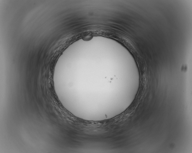 X0000111231111200907021016
