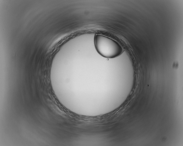 X0000111231112200907021016