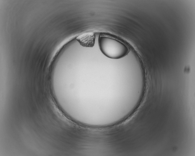 X0000111231118200907021017