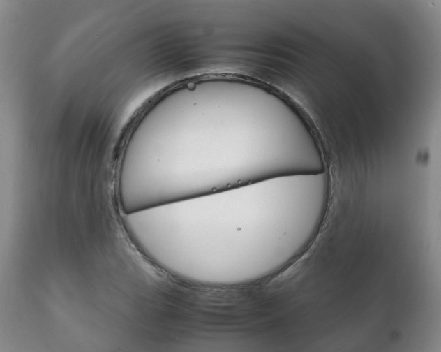 X0000111231119200907021017