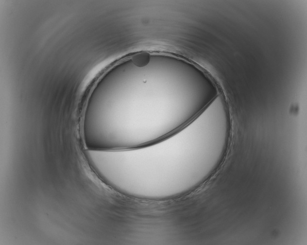 X0000111231120200907021017