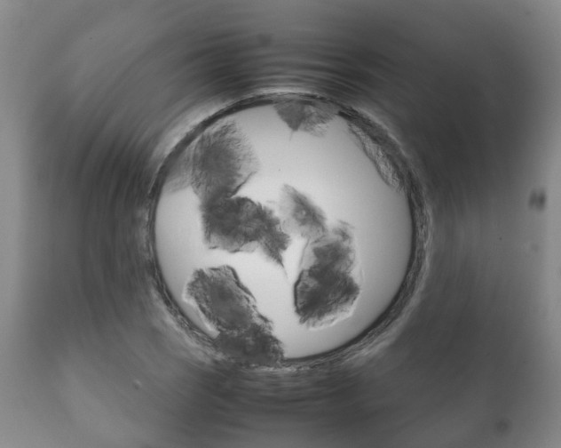 X0000111231121200907021017