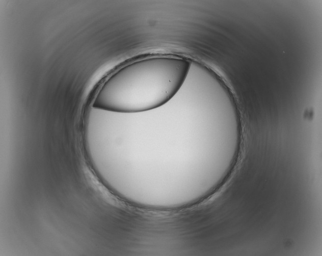 X0000111231122200907021017