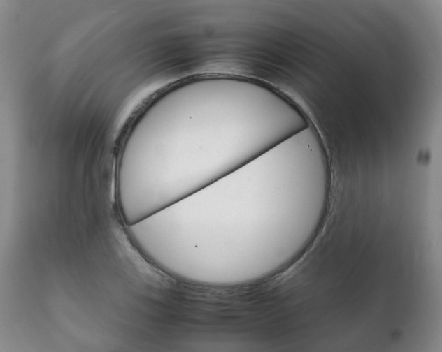 X0000111231123200907021017
