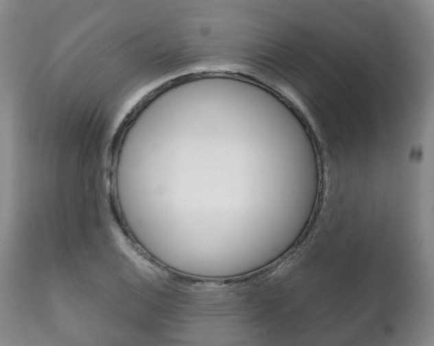 X0000111231124200907021017