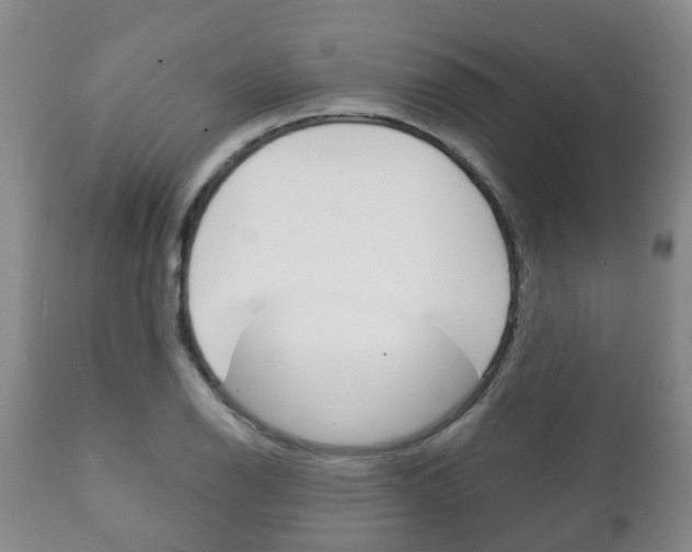 X0000111231126200907021017