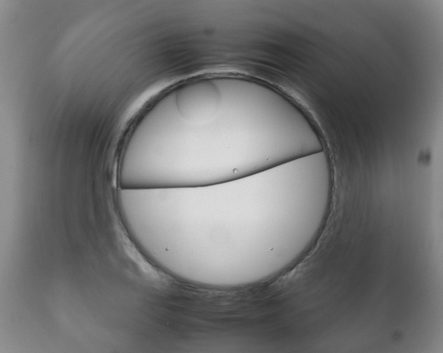 X0000111231127200907021017