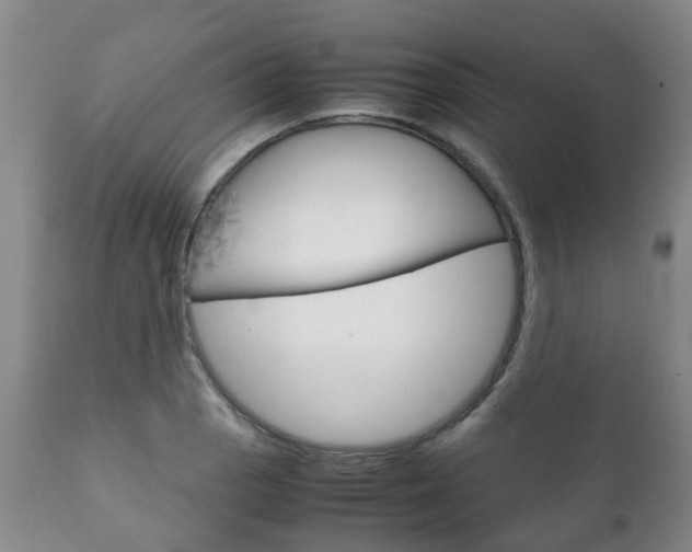 X0000111231129200907021017