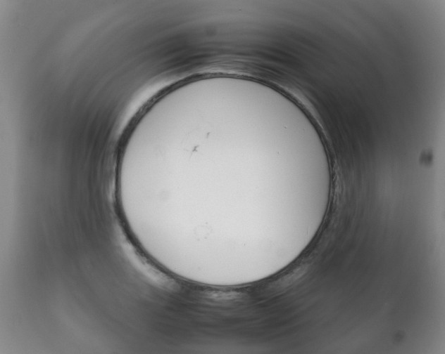 X0000111231131200907021017