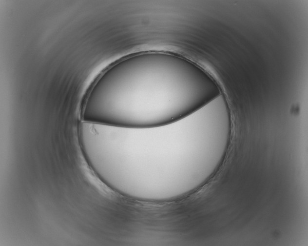X0000111231132200907021017