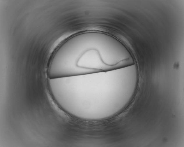 X0000111231133200907021017