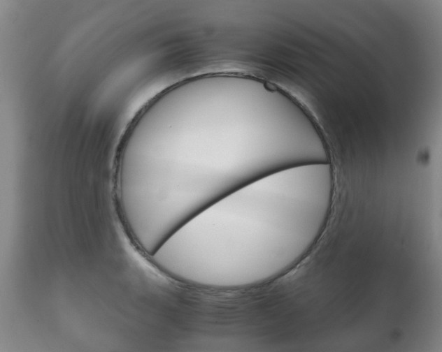 X0000111231135200907021017