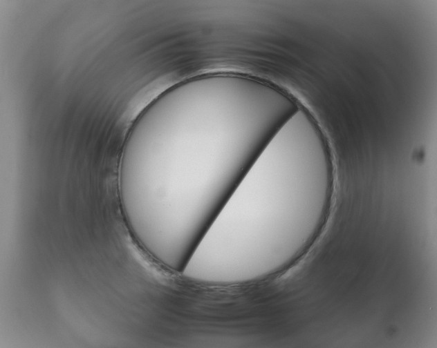 X0000111231137200907021017