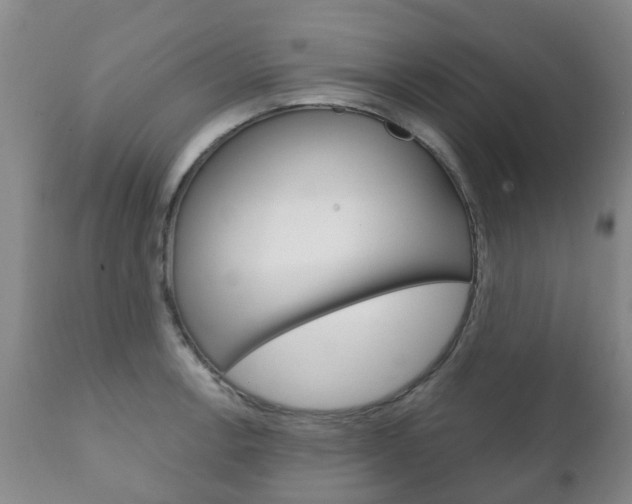 X0000111231138200907021017