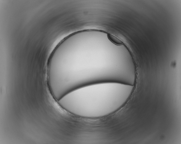 X0000111231140200907021017