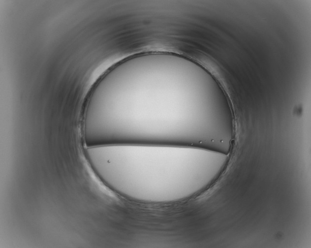 X0000111231141200907021017