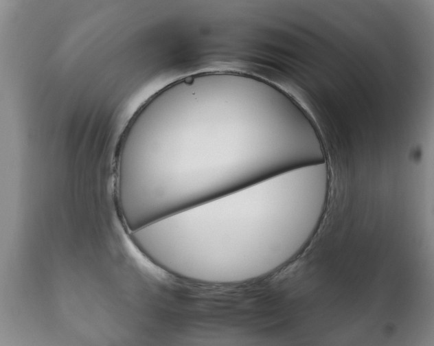 X0000111231143200907021017