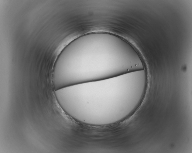 X0000111231145200907021017