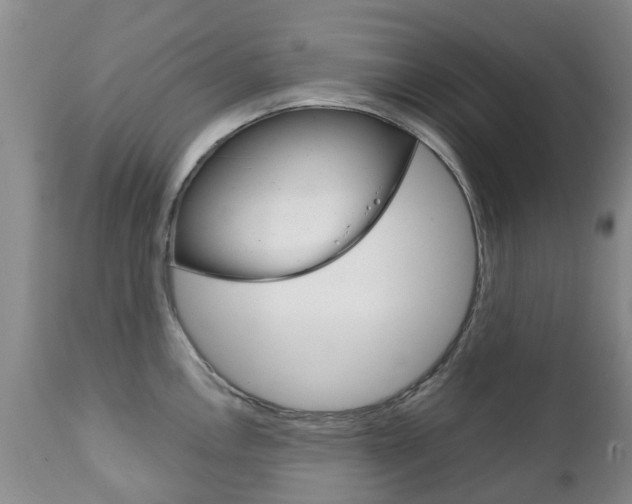 X0000111231146200907021017