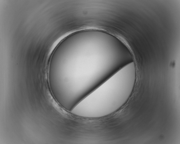 X0000111231148200907021017