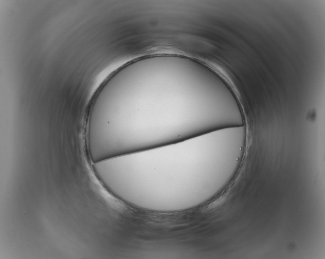X0000111231149200907021017