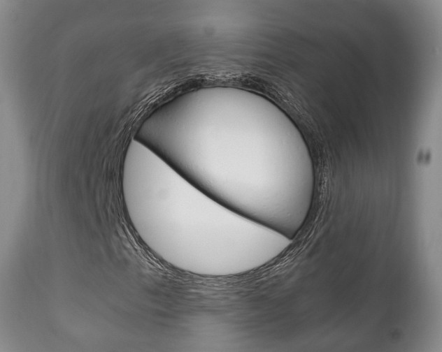X0000111231153200907021016