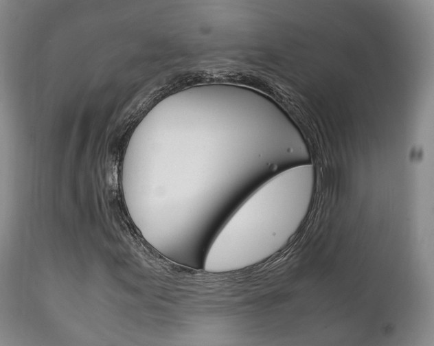 X0000111231155200907021016