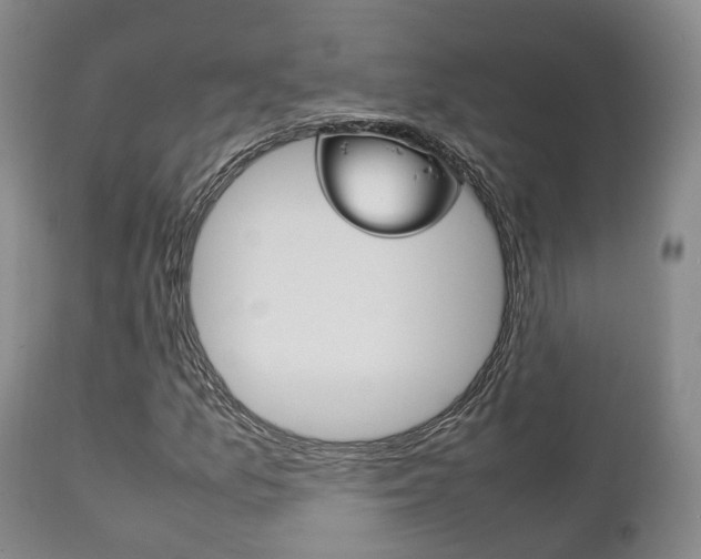 X0000111231157200907021016