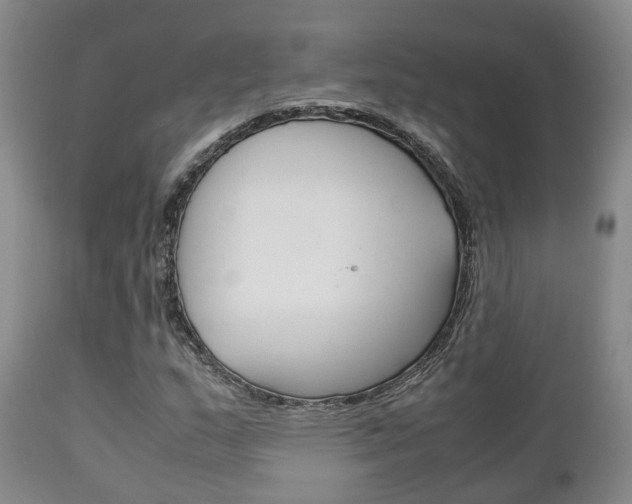 X0000111231159200907021016