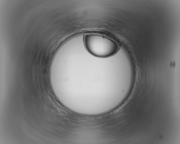 X0000111231161200907021016