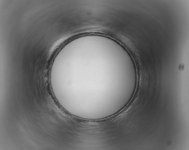 X0000111231164200907021016