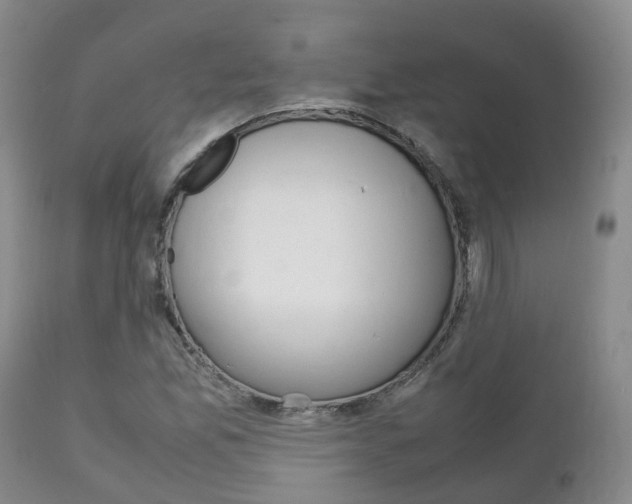 X0000111231165200907021016