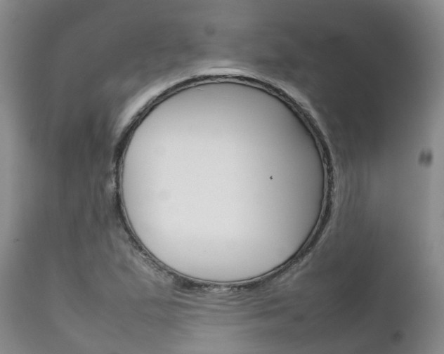 X0000111231167200907021016