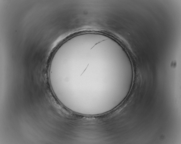 X0000111231168200907021016