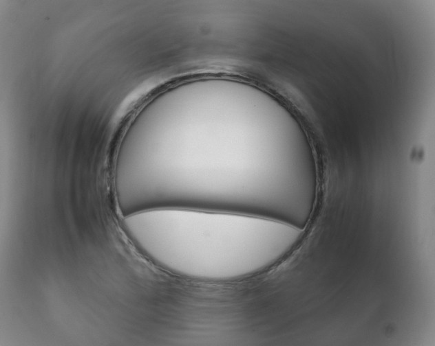 X0000111231172200907021016