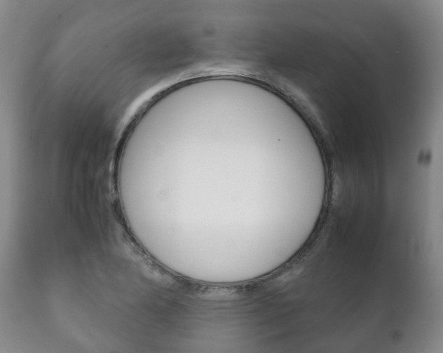 X0000111231174200907021016