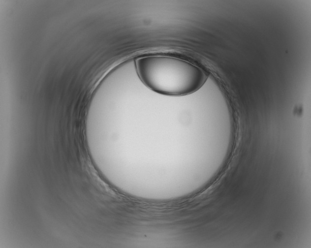 X0000111231177200907021016
