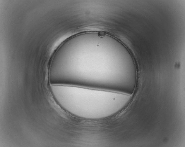 X0000111231179200907021016