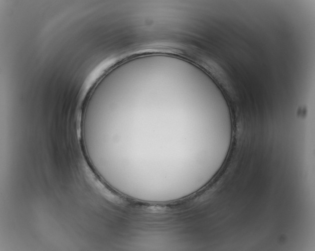 X0000111231180200907021016