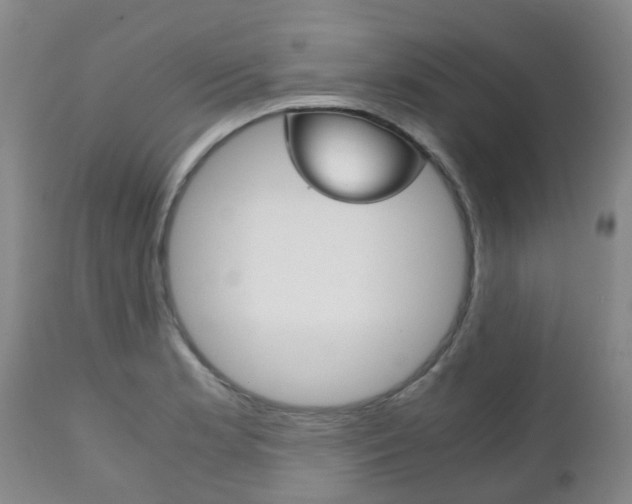 X0000111231181200907021016