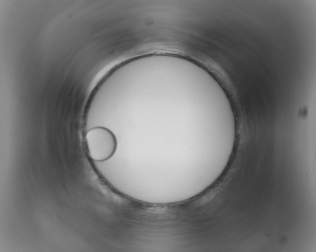X0000111231182200907021016